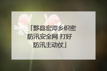 黟县宏潭乡织密防汛安全网 打好防汛主动仗